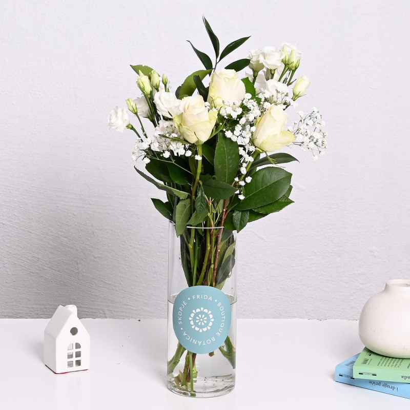 Бела Хармонија (S)